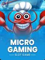 Micro Gaming slot games